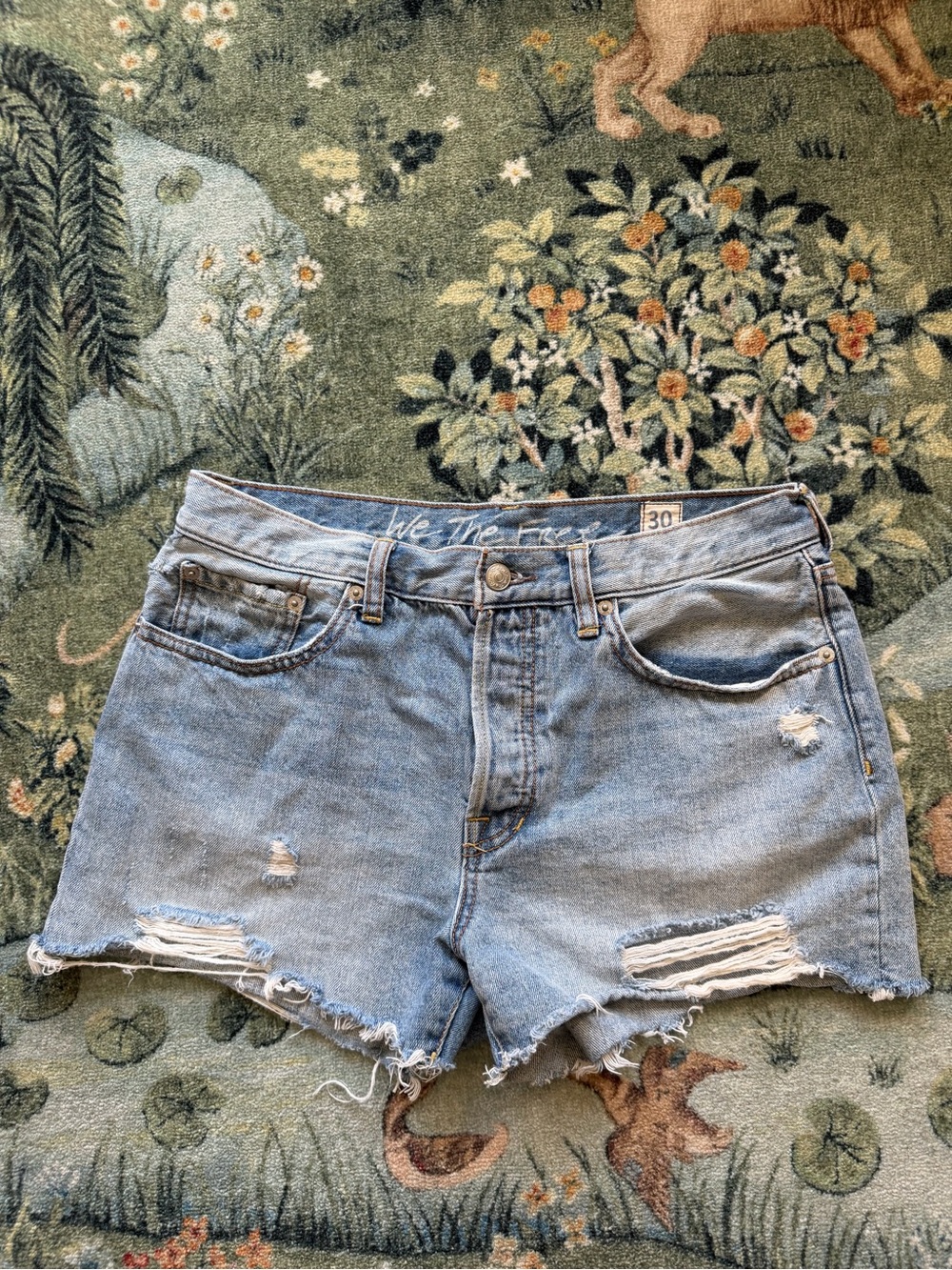 Free People We The Free Denim Shorts size 30